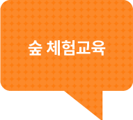 숲체험교육