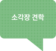 토요소각장견학