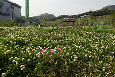 잔디밭