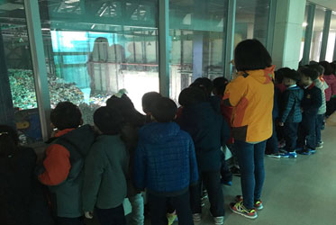 창의체험교육2